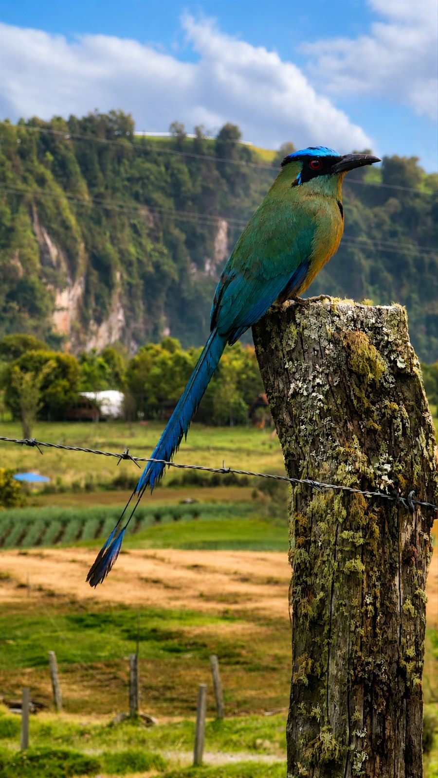 Turismo Consciente 2